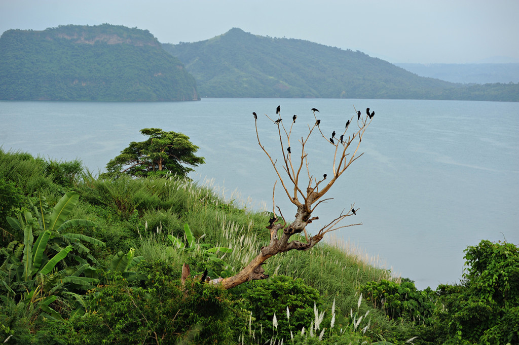 J-L Taal Volcano Prenup 002