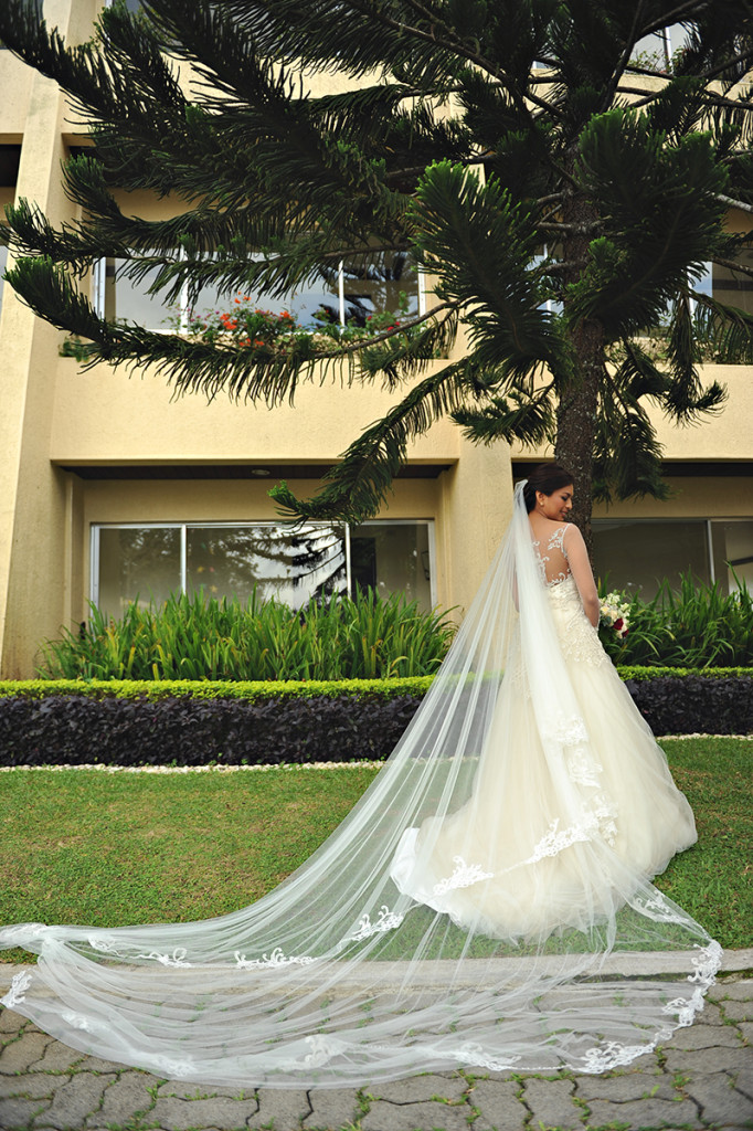 Wedding Bride