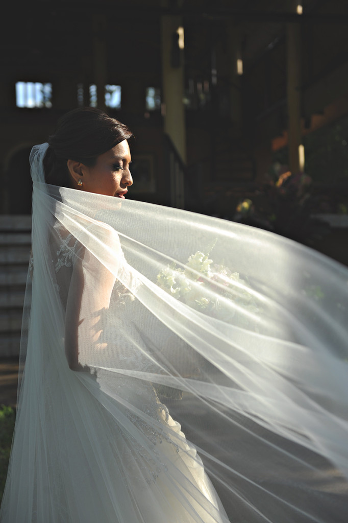 Wedding Bride Dramatic Light