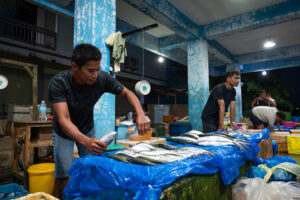 Davao, Samal Island, Fish Landing Photos