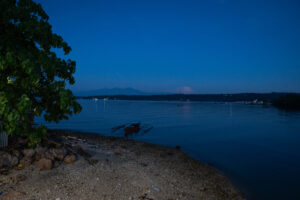 Davao, Samal Island, Fish Landing Photos