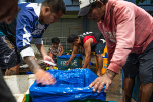 Davao, Samal Island, Fish Landing Photos