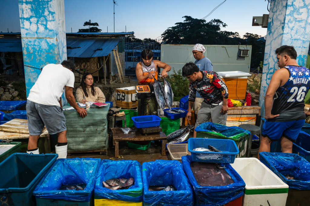 Davao, Samal Island, Fish Landing Photos