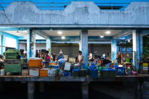 Davao, Samal Island, Fish Landing Photos