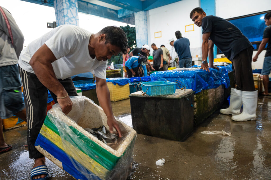 Davao, Samal Island, Fish Landing Photos