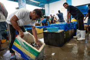 Davao, Samal Island, Fish Landing Photos