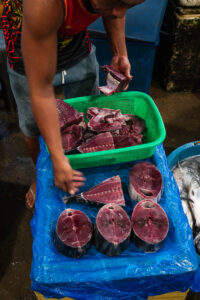 Davao, Samal Island, Fish Landing Photos