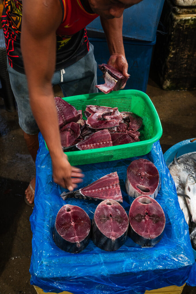 Davao, Samal Island, Fish Landing Photos