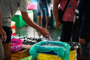 Davao, Samal Island, Fish Landing Photos