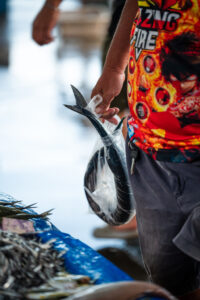 Davao, Samal Island, Fish Landing Photos