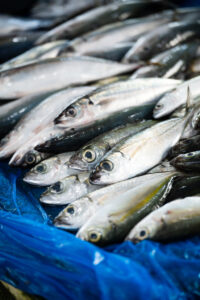 Davao, Samal Island, Fish Landing Photos