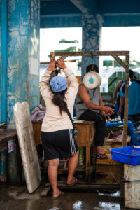 Davao, Samal Island, Fish Landing Photos