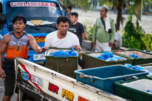 Davao, Samal Island, Fish Landing Photos