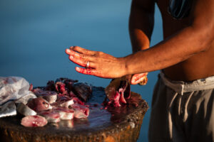 Davao, Samal Island, Fish Landing Photos